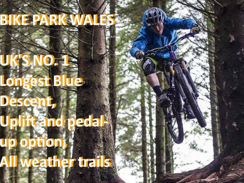 2fda3be7-8009-4786-87f7-935b72e11835